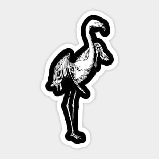 Black and white drawing - Flamingo Sticker